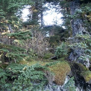 Paulson Bay Cabin
