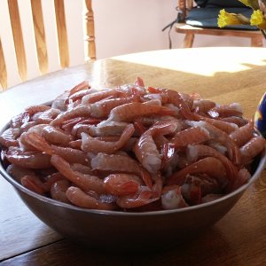 21# of tails