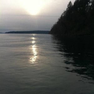 Winter Sun