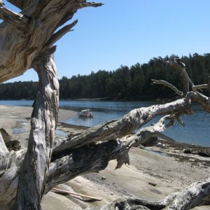Cabbage Island, Tumbo Channel, Saturna Island