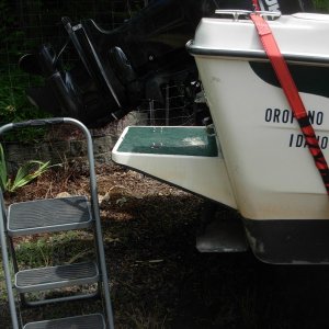 Access from ground.  We tried several methods of getting in the boat when "boater-homing" but none worked well with my wife's short legs.  Finally this step stool and the swim step worked best.  See next photo on the necessary "bridge".