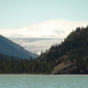 Lewellyn Glacier & above it part of the Juneau ice field