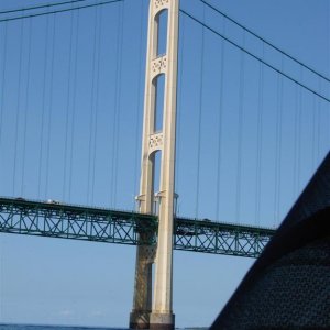 51