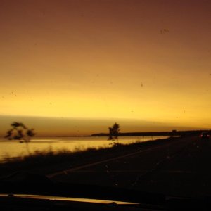 Media '218' in album '1'
