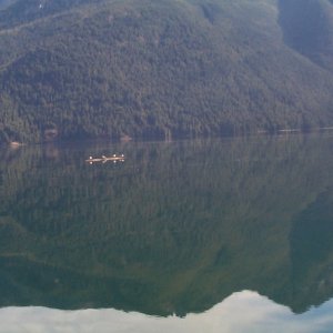 (seabran) Four birds on a log. I like the reflected mountains.