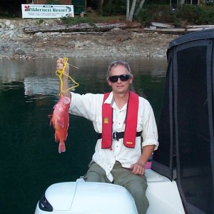 (seabran) At the top of Homfrey is the entrance to Toba Inlet. Here there is a little resort - Wildernest. Snapper for dinner.