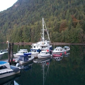 (seabran) Five C-Dorys at the dock. - Wildernest
