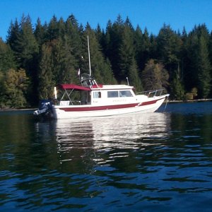 (seabran) Meander - Squirrel Cove