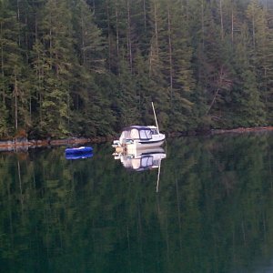 (seabran) 
Bambina- Squirrel Cove