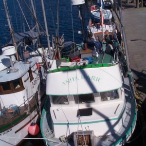(seabran) Another Anita Marie. This was a fishboat at Mansons Landing. We bought a Sockeye salmon for $5/lb. SeaSpray rafted top of pic.