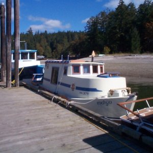 Media '(seabran) A woman built this boat herself in Victoria and was living on it. She was trained in massage. Karen got a 75min massage for $35.' in album '(seabran) Karen and SeaSpray waiting for the ferry.'