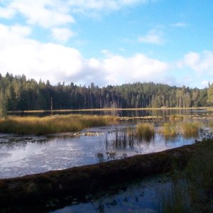 (seabran) Lake above Grace Harbor.
