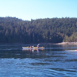 (seabran) Kayakers criusing with the current - Malaspina Inlet.
