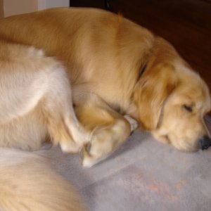 Media 'I'm worn out after running with mom.' in album 'I'm almost two.'