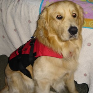 Media 'My new pfd for our trip to BC' in album 'I'm almost two.'
