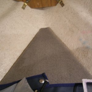 Cuddy was recently carpeted/recarpeted.