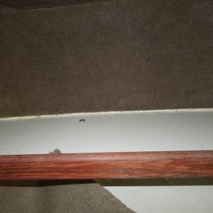 DSCN0423
