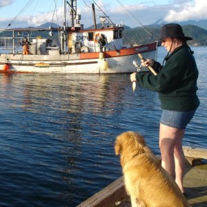Media 'Bait fishing Squirrel Cove' in album 'Evening launch at Blaine Marina'