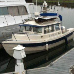 Catalina surf trip