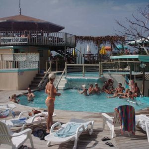 Nippers, Bahamas