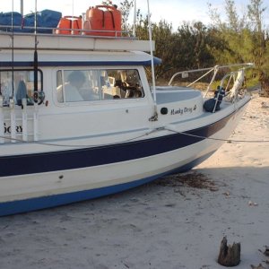 Media 'really high and dry-allens' in album 'Hunky Dory Parked for the night
Double Breasted Cay'