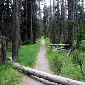Path to Natural Bridge