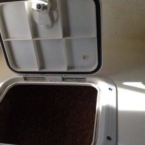 v-berth-port-storage-hatch 33792907251 o