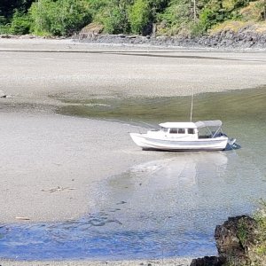 Media 'Waiting for the tide to go out, or maybe come back in ...' in album 'Gelcoat, windows and overall condition is very good. Shines up nicely.'