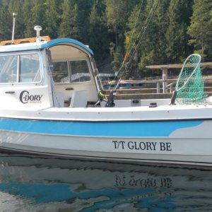 Media 'Jack's Tender' in album 'Jack's Tolly Glory Be and Tender Pocket Yacht'