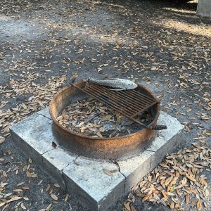 Catfish on Grill