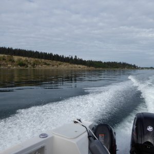 Guemes Island