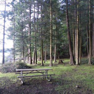 A campsite at Turn Island