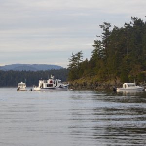 There are 3 State buoys at Turn Island; Airship occupies one of them.