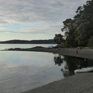 Media 'The West beach at Turn Island' in album 'A busy marina on a Thursday afternoon departure.'