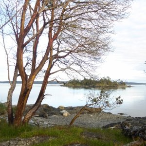 South tip of Turn Island