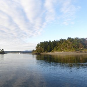 Media 'Looking North at the South side of Turn Island' in album 'A busy marina on a Thursday afternoon departure.'