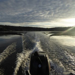 Media 'Dinghy cruising around Turn Island' in album 'A busy marina on a Thursday afternoon departure.'