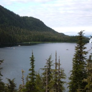 Schoppe Lagoon  Looking South