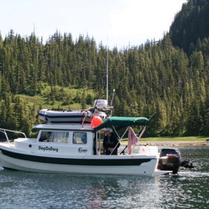 DogOnDory Arriving