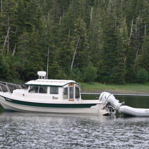 Bearbait? at anchor