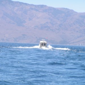 0379-070903