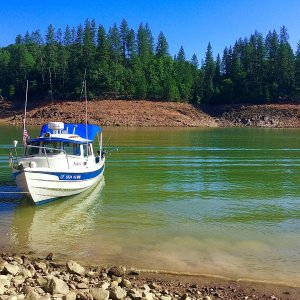 Media '4th July Shasta 2020' in album '4th July Shasta 2020'