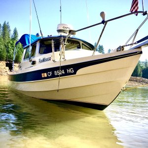 Media '38CEBD1F-D46D-4BDB-84CA-7CECD9129CC7' in album '4th July Shasta 2020'