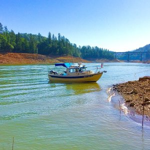 Media '65EBA798-8A7E-4DC5-A16A-0B82087E84FF' in album '4th July Shasta 2020'