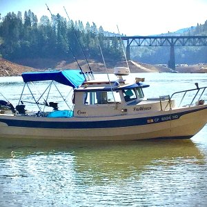 Media 'FA6CEB8D-20B5-435D-AA2A-FE2857B16648' in album '4th July Shasta 2020'