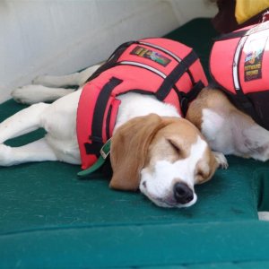 Nap time.
