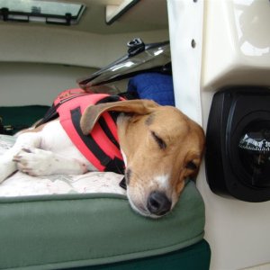 Nap time.