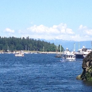Media 'Jon on Gypsy River arriving Nanaimo enroute to Alaska' in album 'Gulf Islands June 2014. Conover Cove.  Wallace Island'