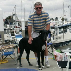 Shadow, my Great Dane, 1995-2005