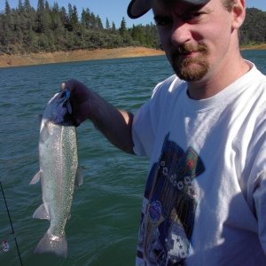 Media 'Typical Shasta Lake Rainbow' in album 'Force 10 Cozy Cabin Propane Heater.'